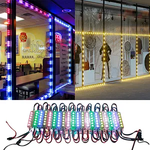 Outdoor Waterproof 6 Lights UCS2903 RGB Smart LED Module Light Window Lights